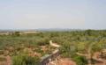 2676 blick ueber das land 2676 blick ueber das land