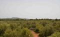2677 grundstueck mit blick 2677 grundstueck mit blick