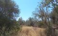 8694 img 20220722 wa0001 8694 img 20220722 wa0001
