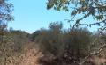 8695 img 20220722 wa0002 8695 img 20220722 wa0002