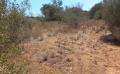 8697 img 20220722 wa0004 8697 img 20220722 wa0004