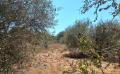 8698 img 20220722 wa0005 8698 img 20220722 wa0005