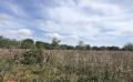6304 IMG 4729 6304 IMG 4729