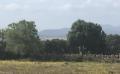 6310 IMG 4735 6310 IMG 4735