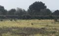6311 IMG 4736 6311 IMG 4736