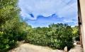9558 dsc 0457 9558 dsc 0457