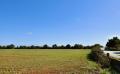 9611 dsc 0875 9611 dsc 0875