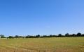 9612 dsc 0876 9612 dsc 0876