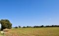 9613 dsc 0877 9613 dsc 0877