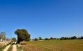 9614 dsc 0878 9614 dsc 0878