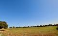 9615 dsc 0879 9615 dsc 0879