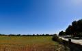9616 dsc 0880 9616 dsc 0880