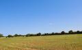 9617 dsc 0881 9617 dsc 0881