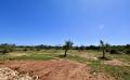 9655 DSC 0945 9655 DSC 0945