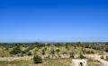 9662 DSC 0966 9662 DSC 0966