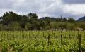 9704 DSC 0035 9704 DSC 0035