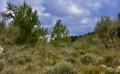 9707 DSC 0047 9707 DSC 0047