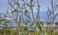 9712 DSC 0052 9712 DSC 0052