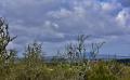9713 DSC 0056 9713 DSC 0056