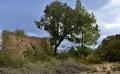 9716 DSC 0068 9716 DSC 0068