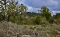 9718 DSC 0072 9718 DSC 0072