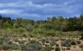 9719 DSC 0071 9719 DSC 0071