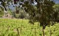9720 DSC 0075 9720 DSC 0075