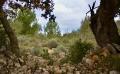 9722 DSC 0076 9722 DSC 0076