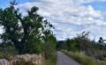 9729 DSC 0081 9729 DSC 0081