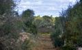 9730 DSC 0079 9730 DSC 0079