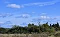 9738 DSC 0093 9738 DSC 0093