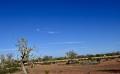 9887 IMG 9986.jpeg 9887 IMG 9986.jpeg
