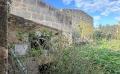 9931 IMG 0495.jpeg 9931 IMG 0495.jpeg