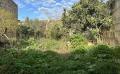 9933 IMG 0501.jpeg 9933 IMG 0501.jpeg