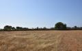 10349 dsc 0749 10349 dsc 0749