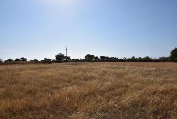 10342 dsc 0742
